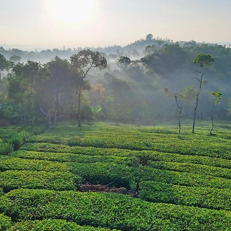 Best Mist Idukki Exterior photo