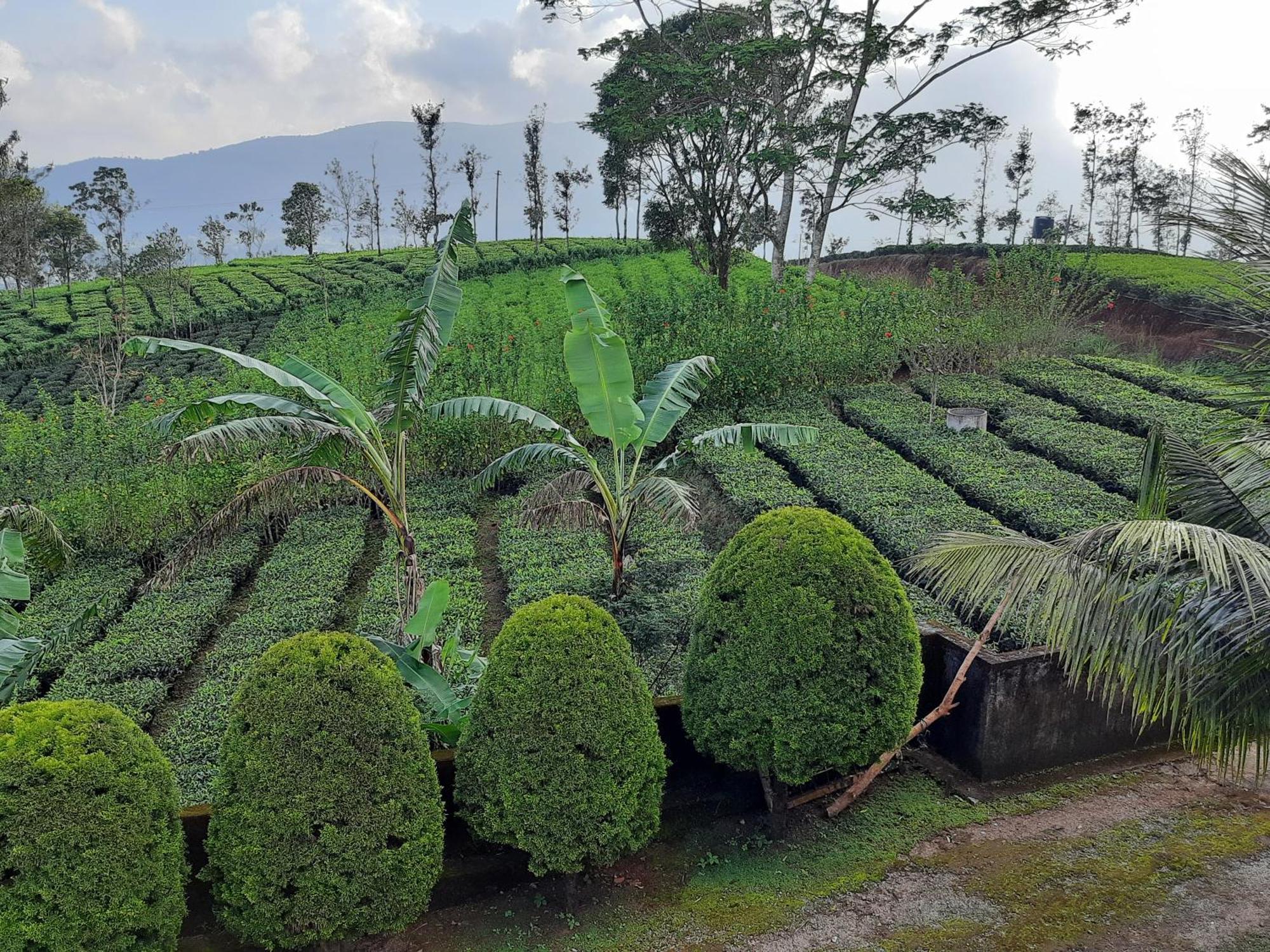 Best Mist Idukki Exterior photo