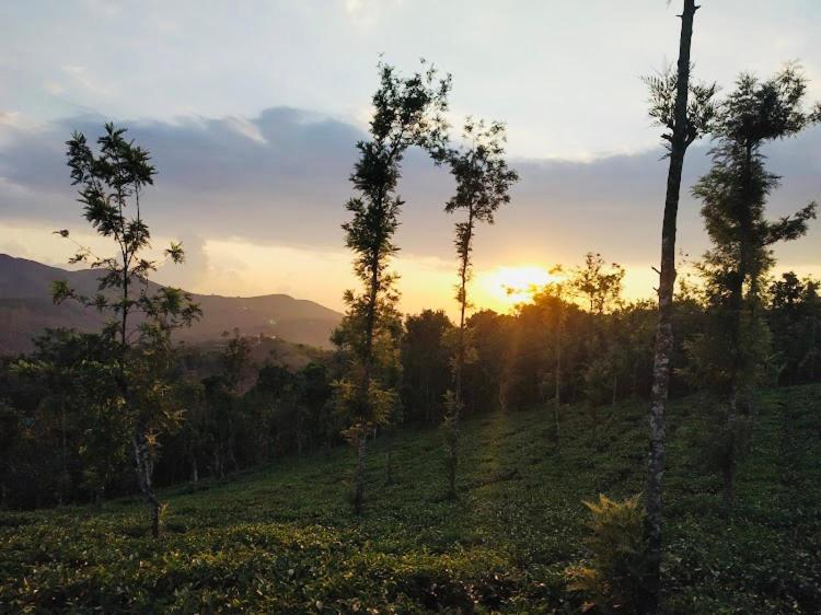 Best Mist Idukki Exterior photo