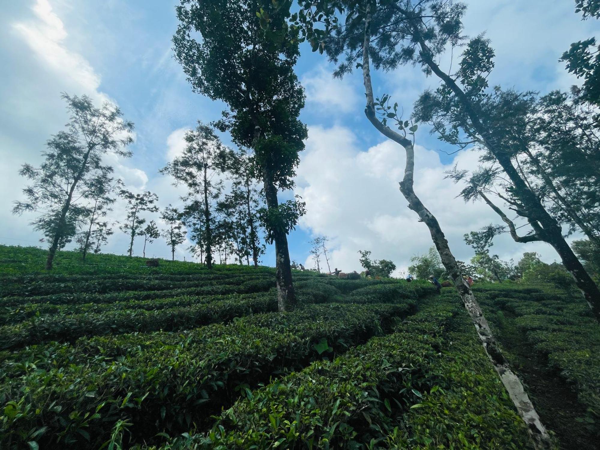 Best Mist Idukki Exterior photo