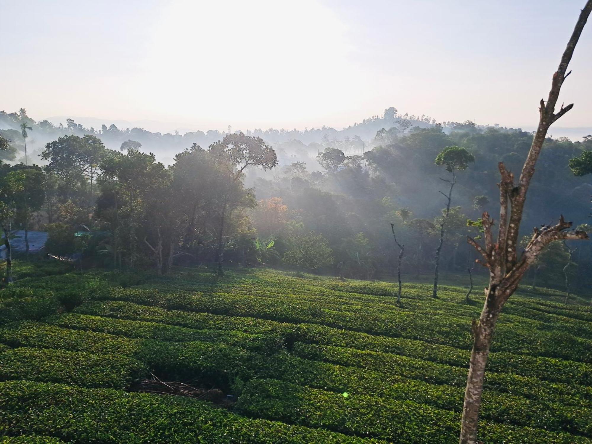 Best Mist Idukki Exterior photo
