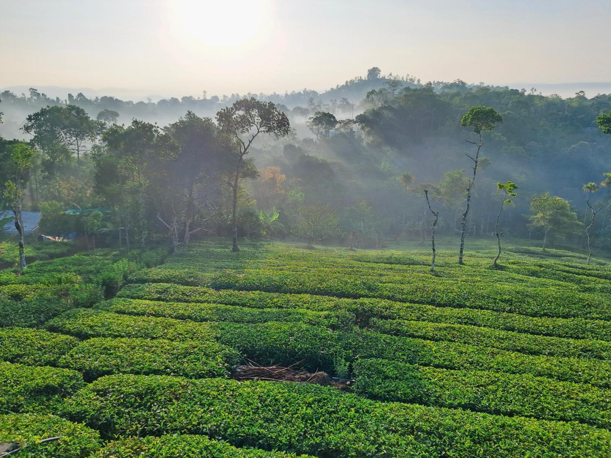 Best Mist Idukki Exterior photo